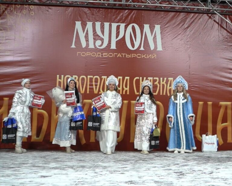 В Муроме состоялся конкурс внучек Деда Мороза!